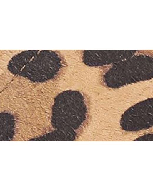 Franco Sarto Brown Britt Leopard Print Slide Sandal