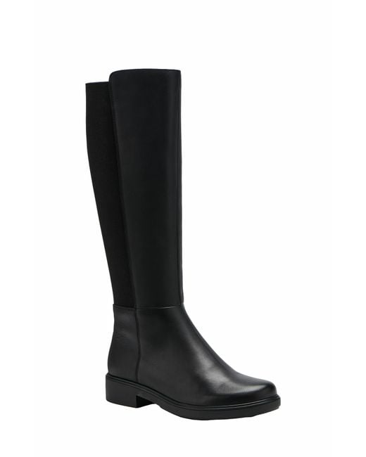 ABEO Black Compass Stretch Tall Boots