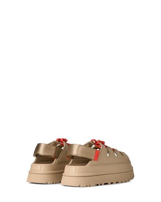 Ugg Brown Goldenglow Sandal