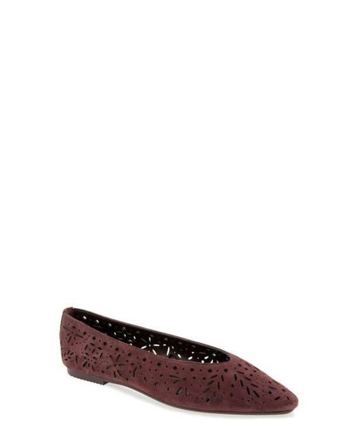 Splendid Brown Latouche Perf Flat
