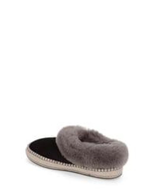 wrin slipper