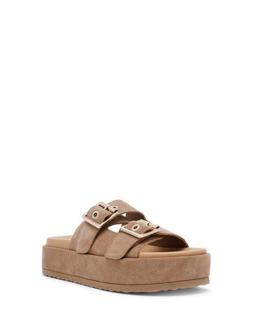 【Steve Madden】ケイティ スライド サンダル Steve Madden Katie Platform Slide Sandal in Brown | Lyst