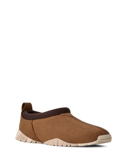 Ugg Brown Tasman Flex Slipper for men