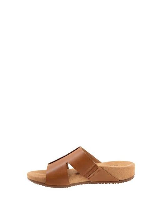 Softwalk® Brown Beverly Sandal