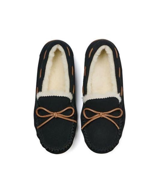 ABEO Black Amble Bow Slipper