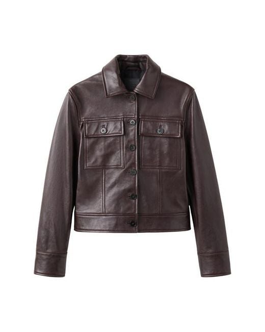 Mango Brown Chaqueta Saint Leather Jacket