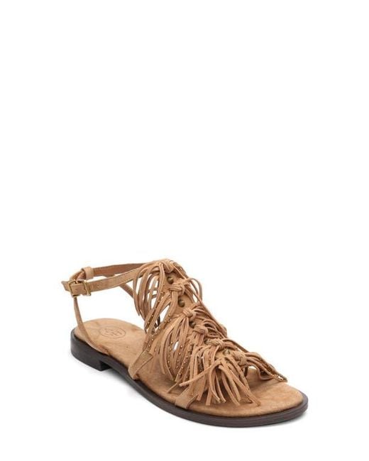 Ash Brown Panic Fringe Sandal