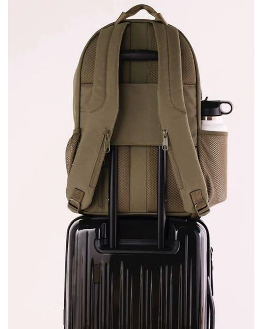 augustnoa Green Classic Noa Backpack