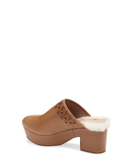 Chocolat Blu Brown Gannet Platform Clog