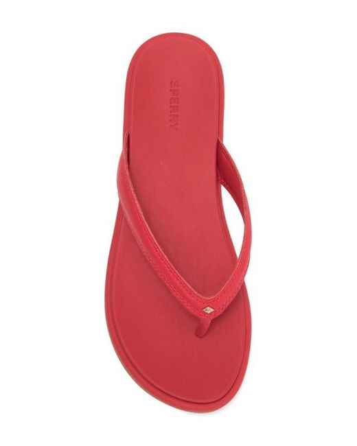 Sperry Top-Sider Pink Isla Flip Flop
