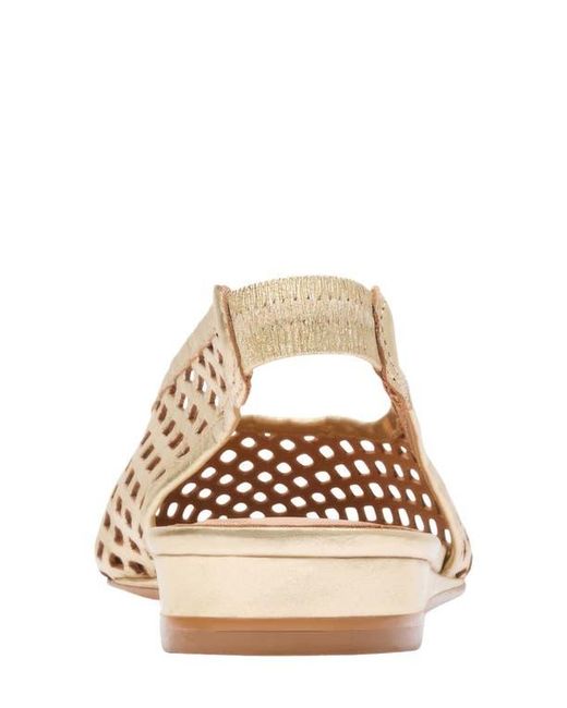 Andre Assous Natural Brielle Pointed Toe Slingback Flat