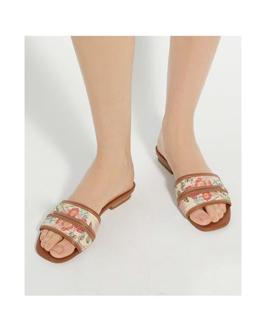 Dune Brown Leti Slide Sandal