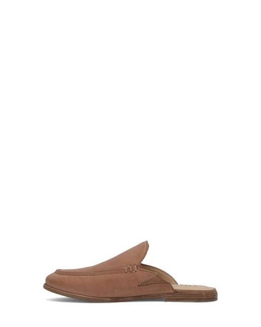 Frye Brown Faith Mule