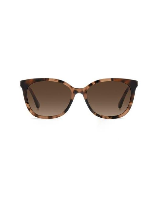 Kate Spade Brown Seline 54Mm Rectangular Sunglasses