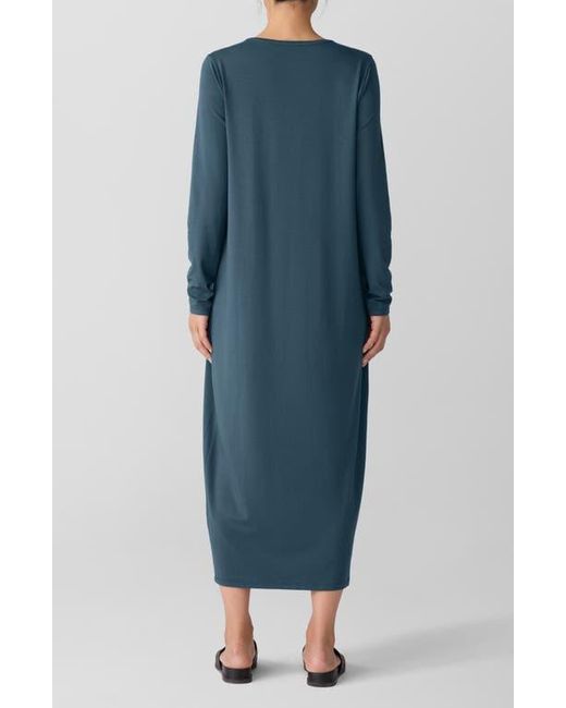Eileen Fisher Blue Long Sleeve Maxi Dress