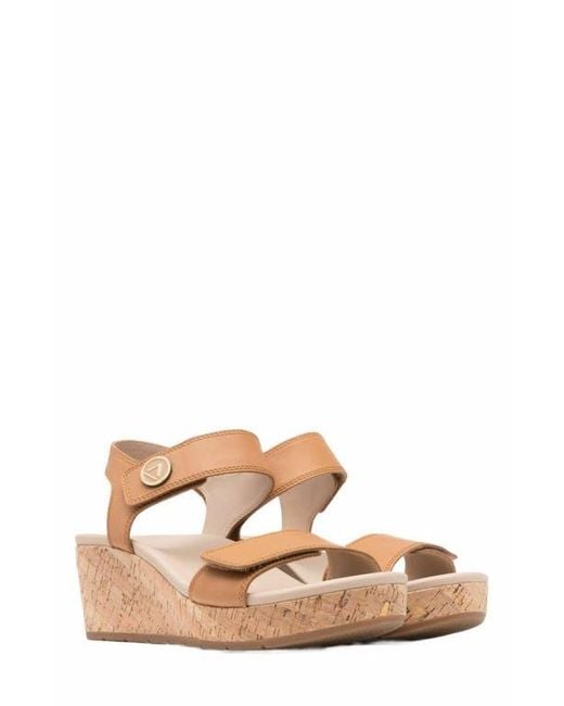 ABEO Brown Riviera Strap Sandal