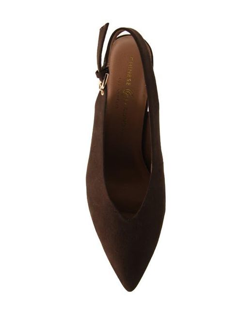 Chinese Laundry Brown Menny Pointed Toe Slingback Pump