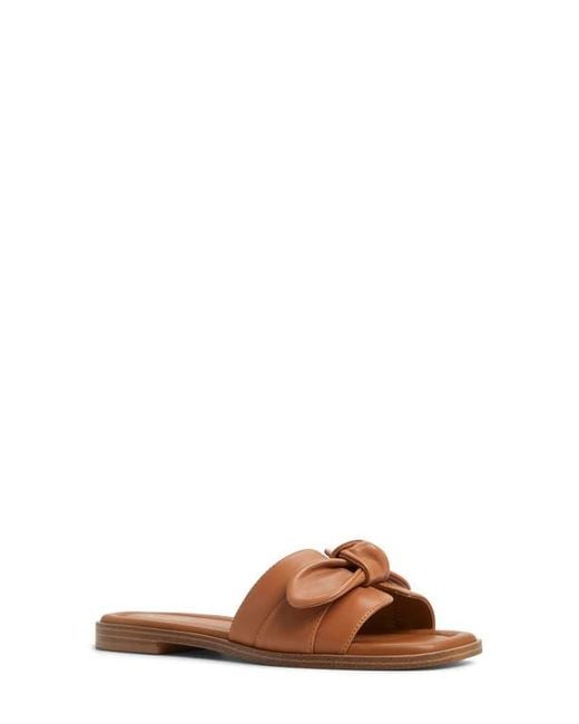 ALDO Brown Lavinia Slide Sandal