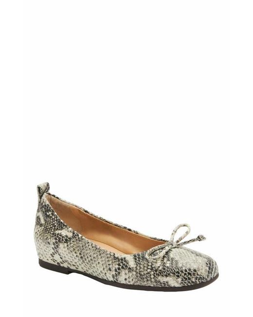 ABEO White Cadence Bow Ballet Flat
