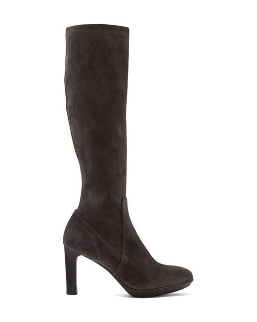 Aquatalia Black Rhumba Knee High Boot