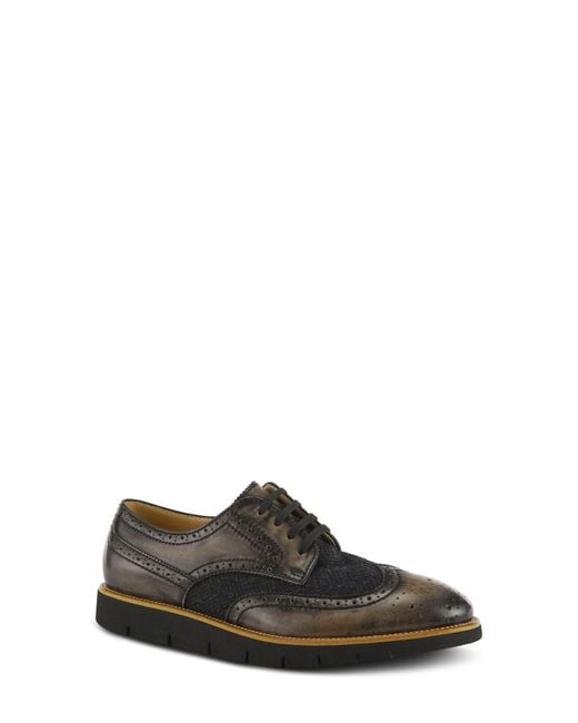Spring Step Black Beaufort Derby