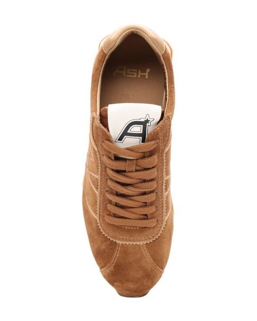 Ash Brown Killer Low Profile Sneaker
