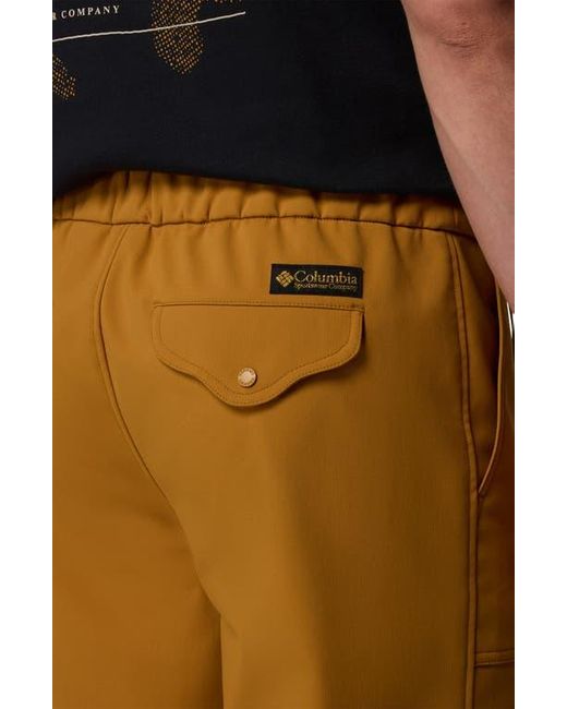 Columbia Brown High Cascades Water Repellent Pants for men