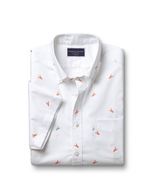 Charles Tyrwhitt White Slim Fit Multi Button-down Collar Non-iron Lobster Print Short Sleeve Shirt for men