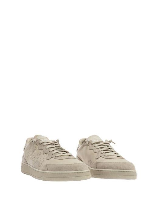 P448 Multicolor Vert Sneaker for men