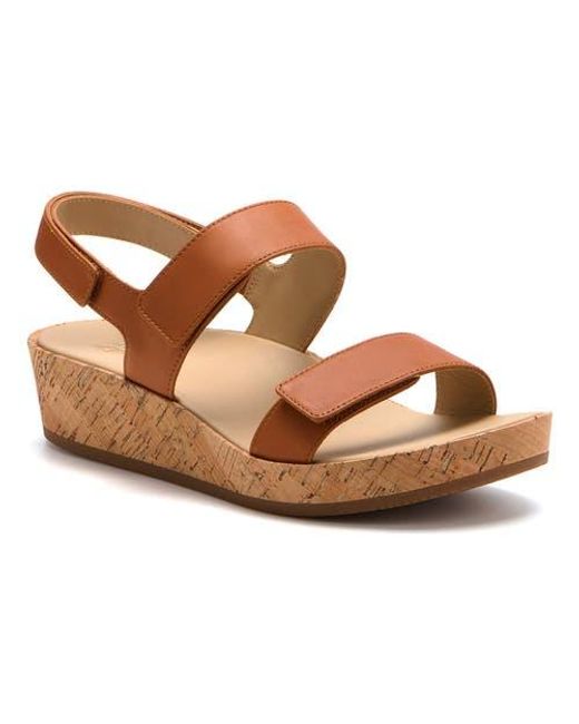 ABEO Brown Soleil Strap Sandal