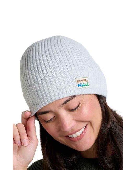 Toad & Co. Blue Cazadero Beanie