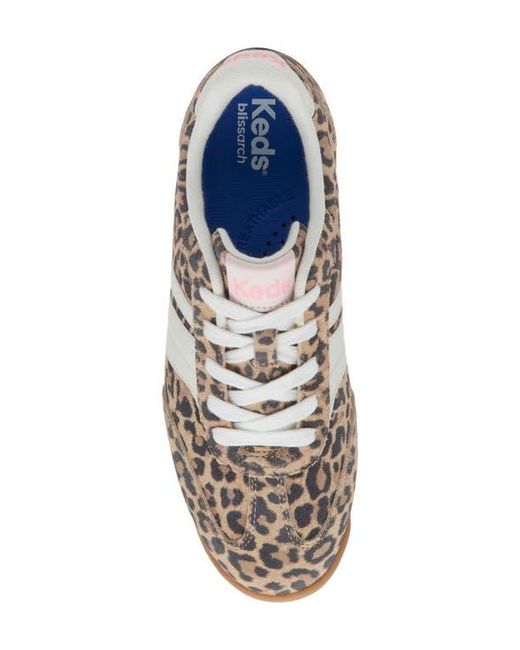 Keds Gray Revival Leopard Print Sneaker