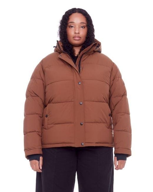 Alpine North Red Forillon Plus Size