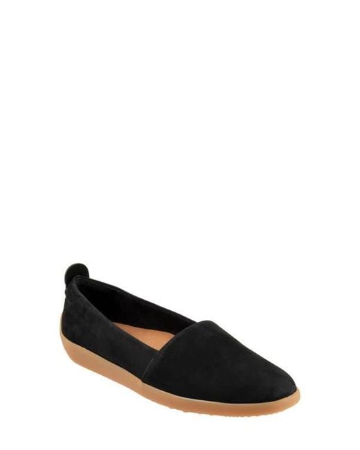 Softwalk® Black Deva Flat