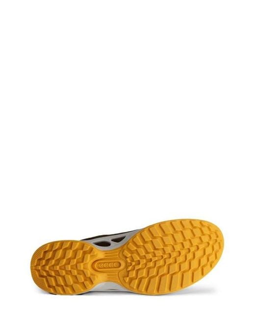 Ecco Brown Biom Energi Explorer Sneaker for men