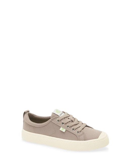 CARIUMA Gray Oca Low Cap Tie Sneaker