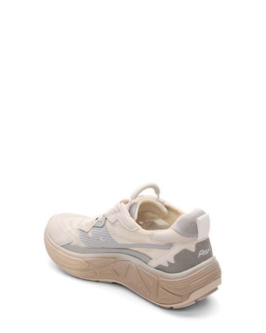 Ash White Eagle Platform Sneaker