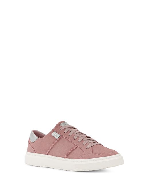 Ugg Pink ugg(r) Alameda Lace-up Sneaker