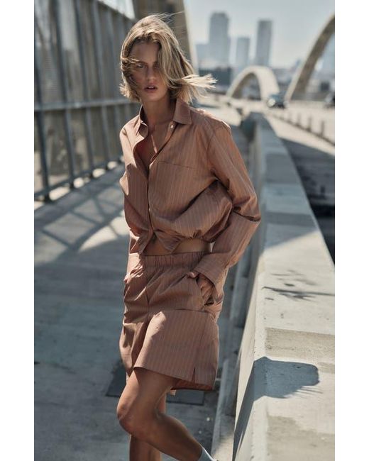 CISSA Brown Knee Length Shorts