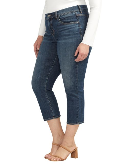 Jag Blue Maya Pull-on Skinny Jeans