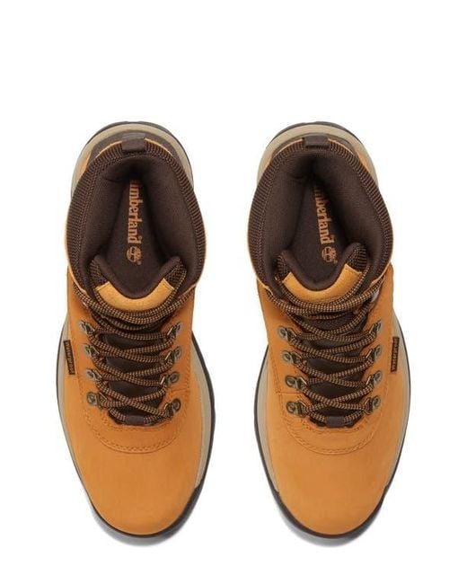 Timberland Natural Ledge Waterproof Hiking Boot for men
