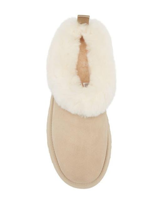 Ugg Natural Tazzelle Genuine Shearling Collar Slipper