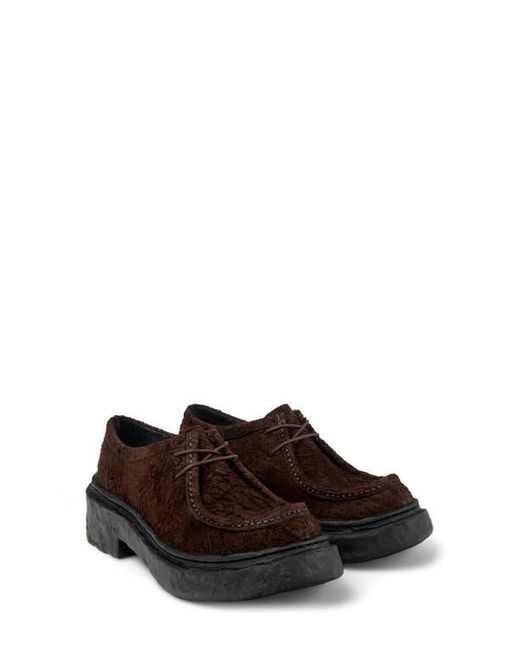 CAMPERLAB Brown Vamonos Derby