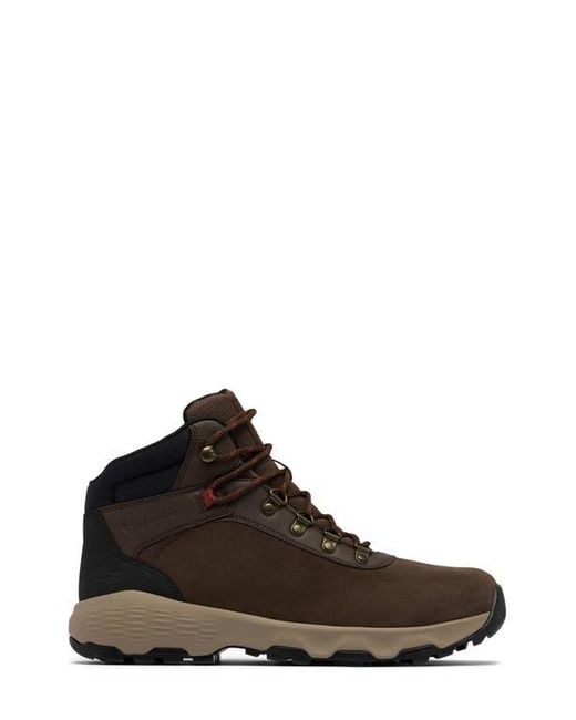 Columbia Brown Newton Wander Waterproof Hiking Boot for men