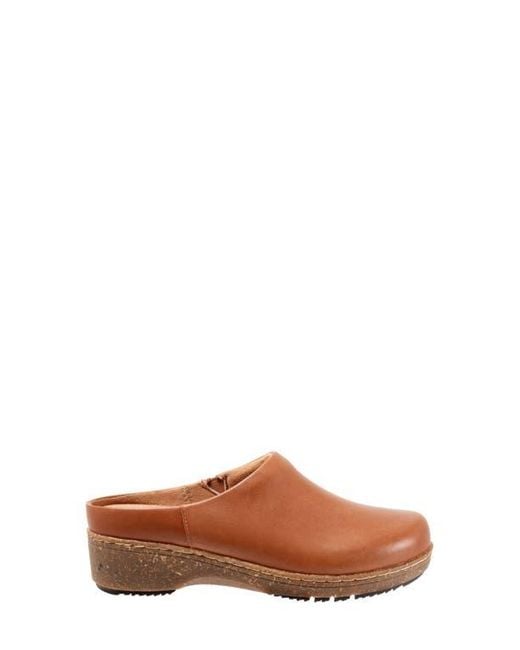 Softwalk® Brown Arvada Mule