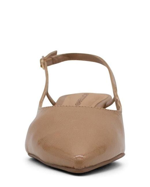 BOTTER Brown Botolivia Legacy Pointed Toe Slingback Pump