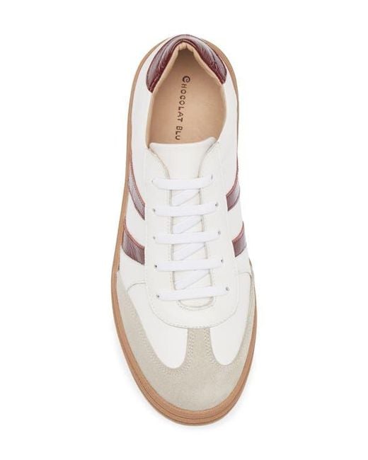 Chocolat Blu White Valox Sneaker