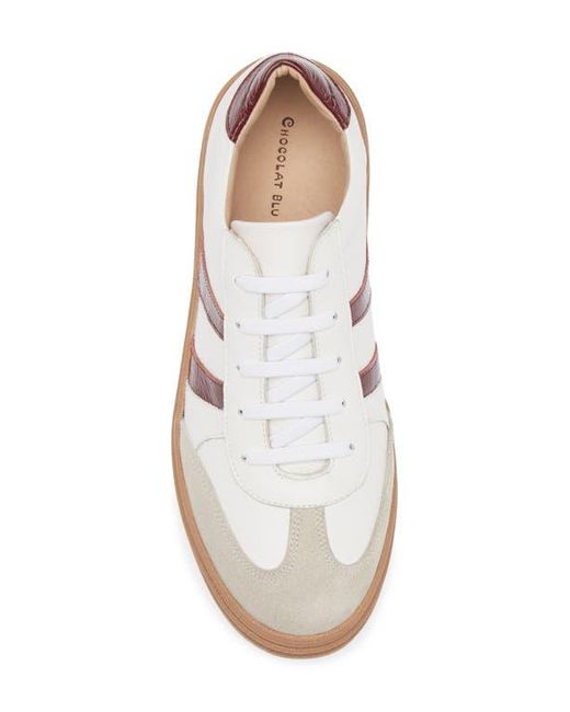 Chocolat Blu White Valox Sneaker
