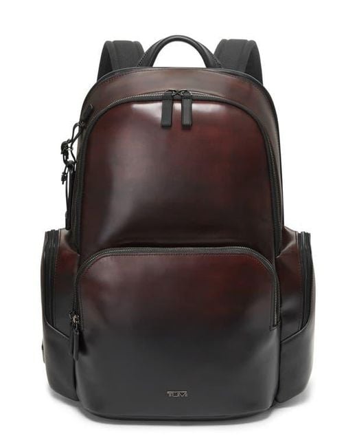 Tumi Brown Hadden Backpack for men