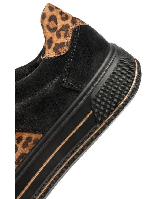 Ara Black Conifer Sneaker